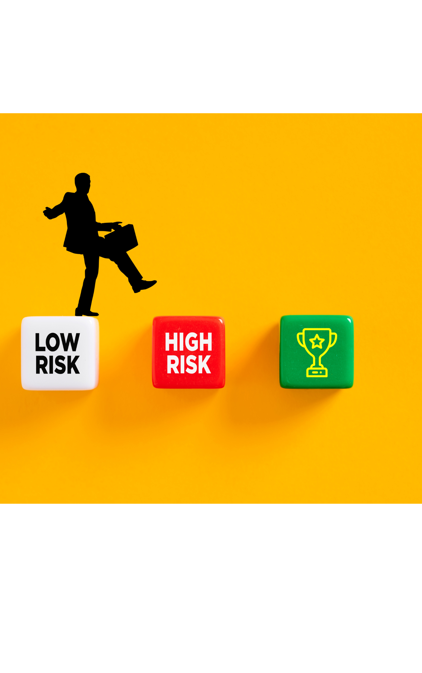 Risk Management Image